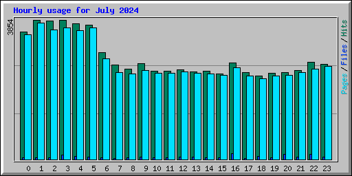 Hourly usage for July 2024