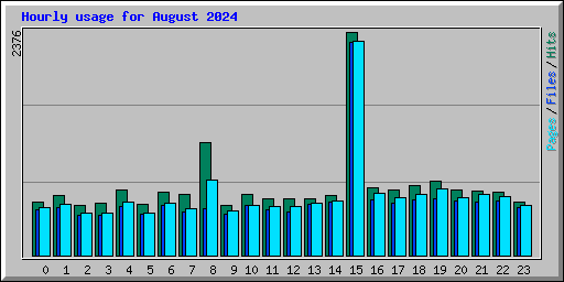 Hourly usage for August 2024