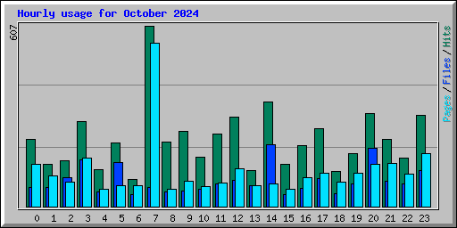 Hourly usage for October 2024