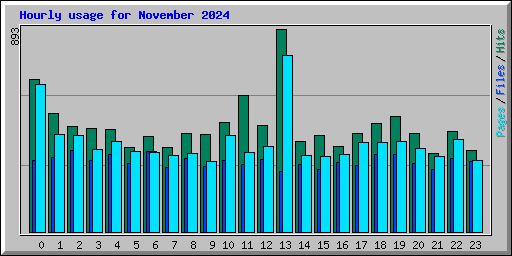 Hourly usage for November 2024