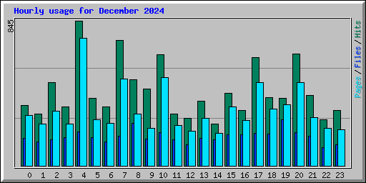 Hourly usage for December 2024