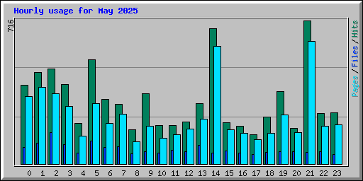 Hourly usage for May 2025