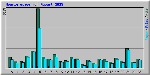 Hourly usage for August 2025
