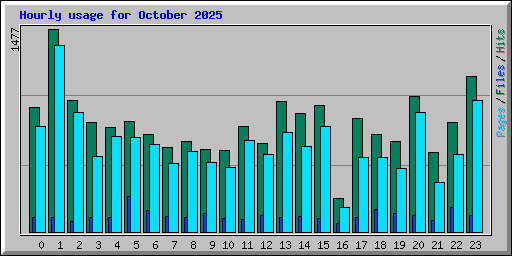 Hourly usage for October 2025