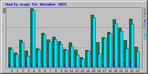 Hourly usage for December 2025