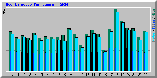 Hourly usage for January 2026