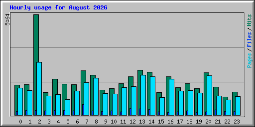 Hourly usage for August 2026