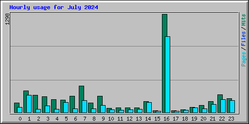 Hourly usage for July 2024