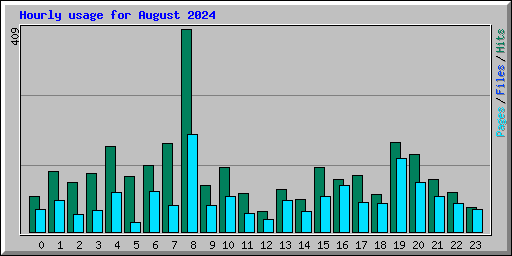 Hourly usage for August 2024