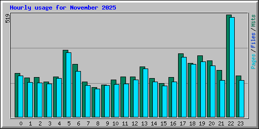 Hourly usage for November 2025