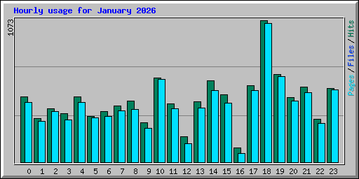 Hourly usage for January 2026