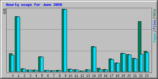 Hourly usage for June 2026