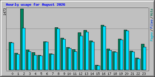 Hourly usage for August 2026